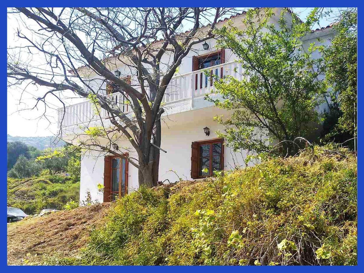 Apartment Kampos View Ikaria