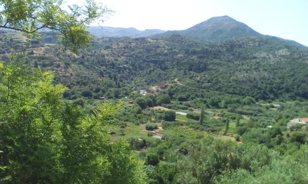 Kampos View Ikaria * Evdilos (Ikaria)